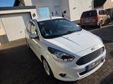 Ford Ka/Ka+ 1,2l Ti-VCT White White - Ford Ka/Ka+ White