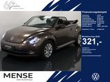 Volkswagen Beetle Cabriolet 1.2 TSI DSG Design Navi|Xenon|P - gebrauchte VW Beetle aus dem Jahr 2014