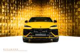 Lamborghini Urus SE + PANORAMA + CARBON TRIM + TV - Lamborghini Neuwagen