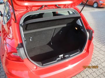 Ford Fiesta Titanium PDC + Winterpaket