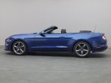 Ford Mustang GT Cabrio V8 California Special/Magne - Ford Mustang: Special
