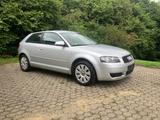 Audi A3 1.6 Attraction Attraction - Audi A3 aus 2004: 1.6