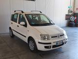 Fiat Panda 1.2 , 43.000km - Fiat Panda mit Halbautomatikschaltung