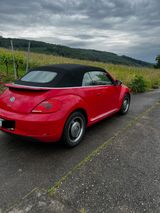 Volkswagen New Beetle Cabrio - top Fahrzeug - Fahrzeug gebraucht