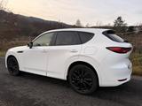 Mazda CX-60 3.3 e-SKYACTIV D254 Homura Plus AHK AWD - Mazda CX-60 mit Diesel-Antrieb: Automatik