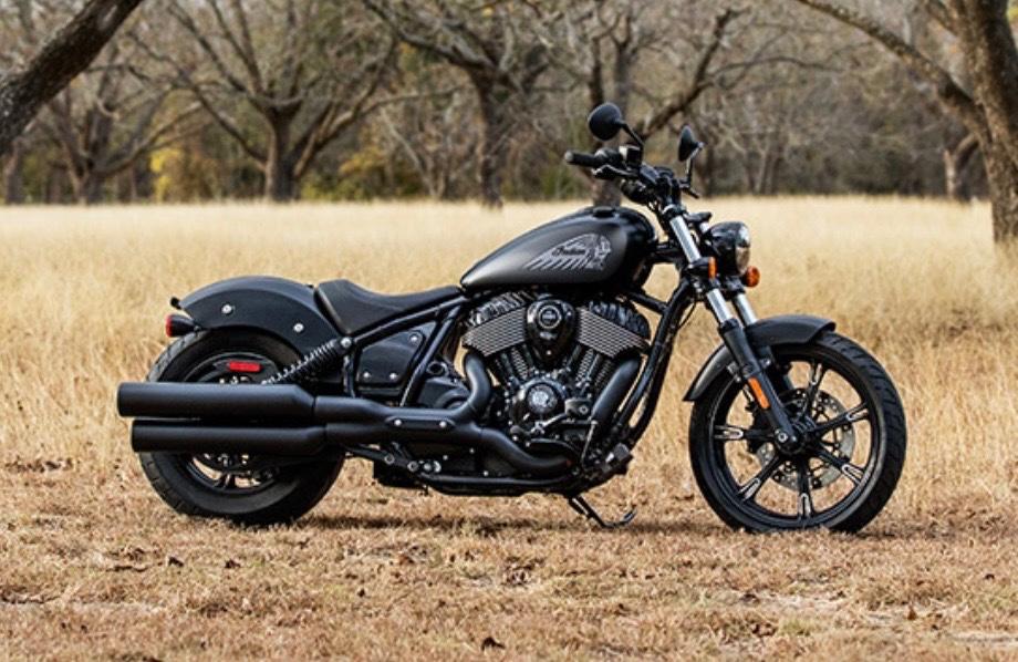 Indian Chief Dark Horse