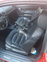 Peugeot 406 3.0 Platinum Platinium - Peugeot 406 mit Benzin-Antrieb