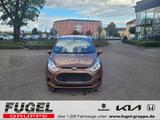 Ford B-Max 1.0 EcoBoost Trend Winter|AHZV|SHZ|Klima - Ford B-Max mit Benzin-Antrieb: Trend