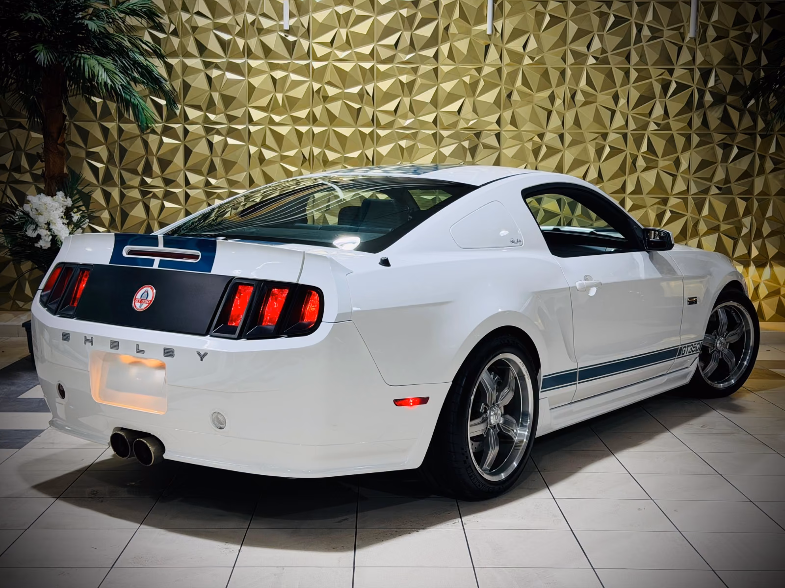 Ford Mustang Shelby American GT 350|624PS|CSM|SAMMLER