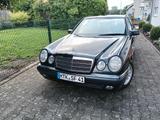 Mercedes-Benz E 230 ELEGANCE Elegance - Mercedes-Benz E 230 mit Benzin-Antrieb