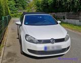 Volkswagen Golf 1.6 TDI Cabriolet - Oryweiß - Sportfahrwerk