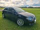Audi A3 1.6 Ambition - Audi A3 aus 2006: Ambition