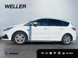 Ford S-Max 2.0 EcoBlue TITANIUM *7-Sitzer*hzb.Front*C - Ford S-Max in Karlsruhe