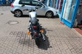 Benelli Imperiale 400 - Angebote