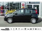 Fiat Pandina ICON Hybrid 1.0 GSE TEMPOMAT PDC LANE KL - scheckheftgepflegte Fiat New Panda