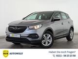 Opel Grandland X 1.2 Turbo Edition BLUEOOTH+RFK+TEMP+ - Opel Gebrauchtwagen in Düsseldorf