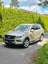 Mercedes-Benz MERCEDES BENZ ML 350 BLUETEC 4MATIC|AHK|SP... - Mercedes-Benz ML 350 Gebrauchtwagen in Hamburg