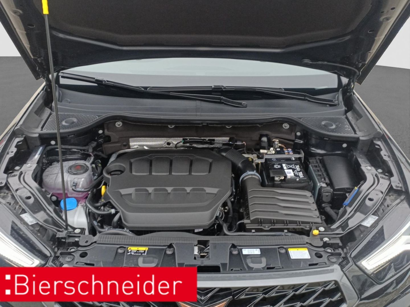 Cupra Ateca - Bild 26