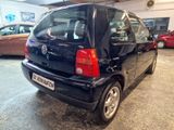 Volkswagen Lupo Basis - Volkswagen Lupo: Schwarz