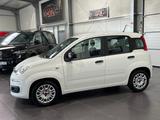 Fiat Panda 1.0 Urban **5-Türig*Klima*PDC** - gebrauchte Fiat Panda aus dem Jahr 2021