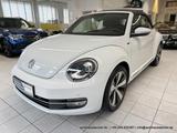 Volkswagen Beetle Cabriolet 1.4 "Allstar Plus" 6-Gang KAM - mit Benzin-Antrieb: 1.6