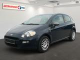 Fiat Punto 1.2 8V Young Klimaanlage BT - Fiat Punto Gebrauchtwagen in Halle