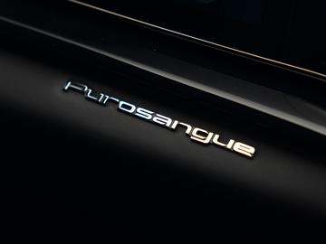 2023 Ferrari PUROSANGUE 缩略图 23