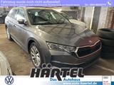Skoda OCTAVIA Combi SELECTION 2.0 TDI DSG (+EURO6) LED - Skoda Jahreswagen: Eu