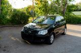 Volkswagen Polo 1.4TDI 80 PS United - Volkswagen Polo United mit Diesel-Antrieb