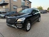 Mercedes-Benz ML 250 ML -Klasse ML 250 CDI Pano Euro 6 - Mercedes-Benz ML 250 aus 2015