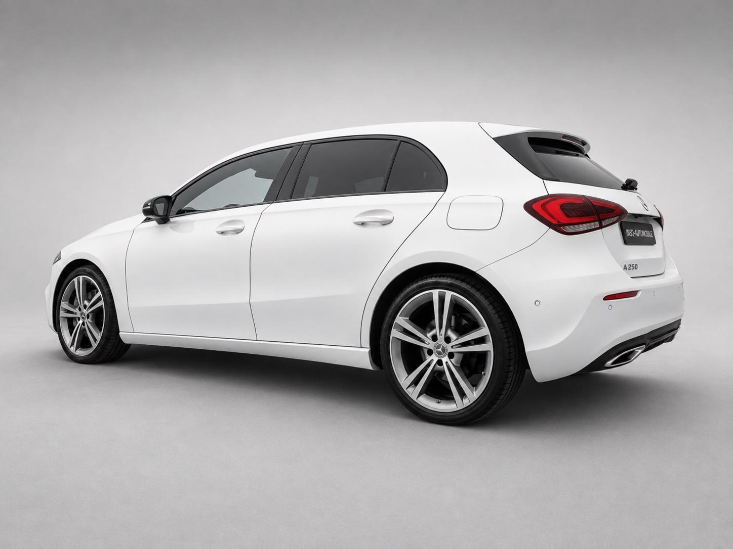 Mercedes-Benz A 250 Leder,Panno,Navi,Sitzh.Sport