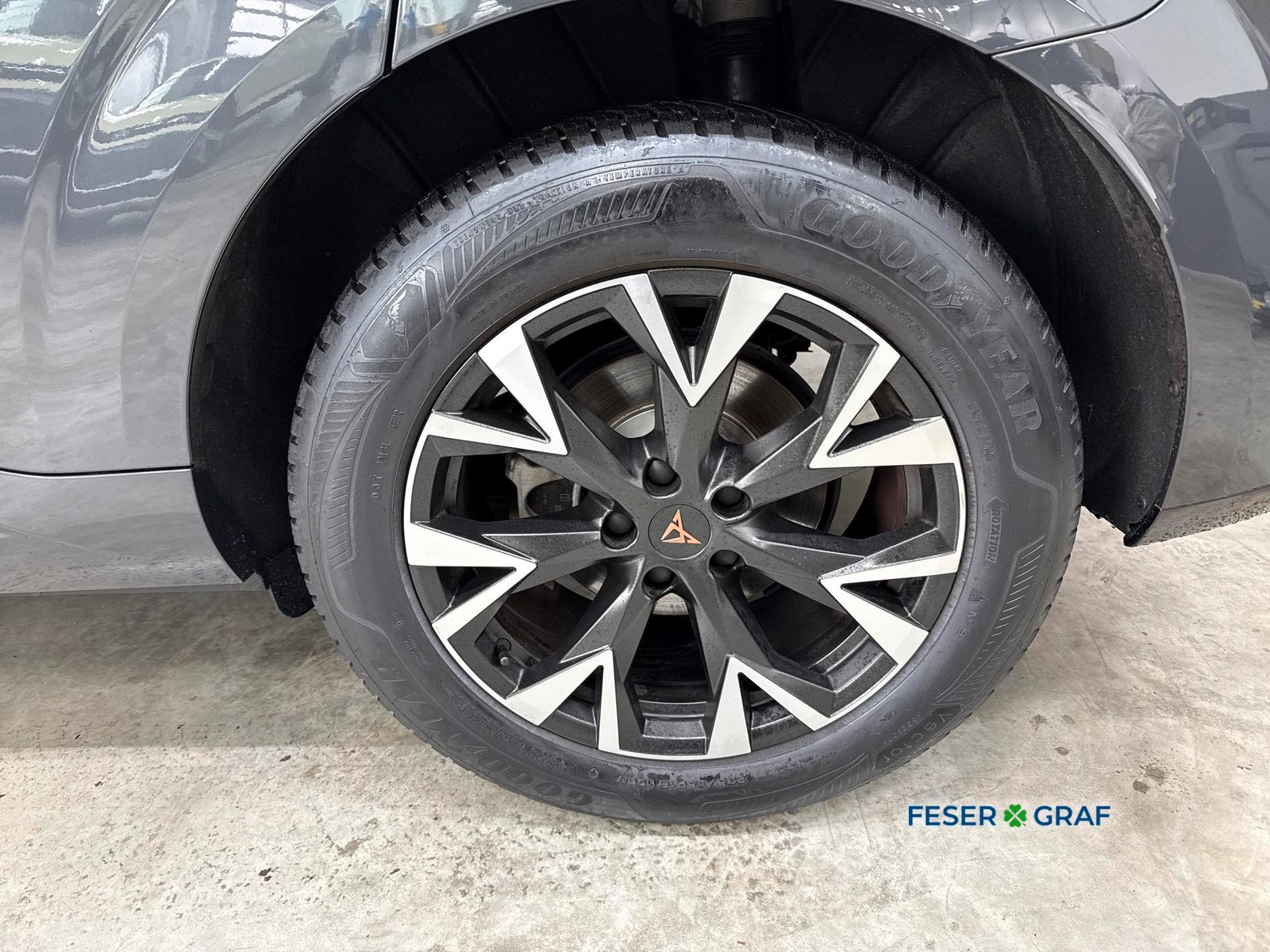 Cupra Terramar - Bild 7