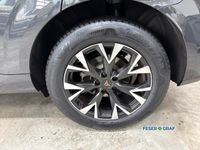 Cupra Terramar - Vorschau Bild 7