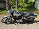 Harley-Davidson Sportster 1200 XL/2 - Angebote