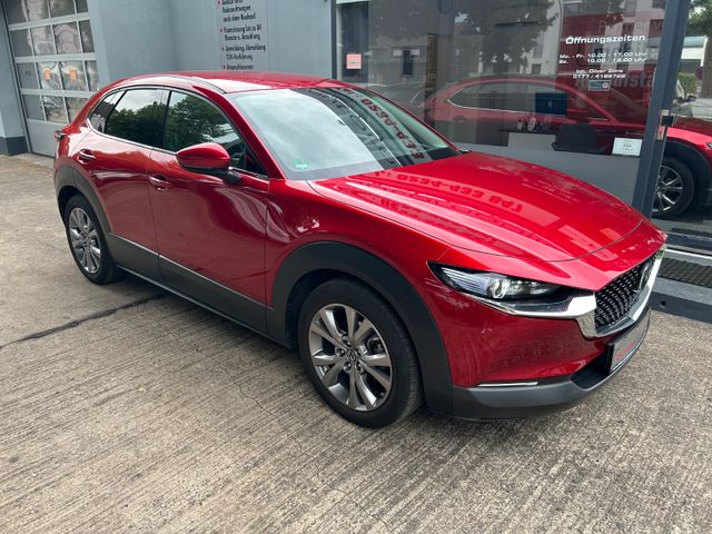 Fahrzeugabbildung Mazda CX-30 2.0+AHK+Navi+Kamera+HeadUp+CarPlay+1.Hand+