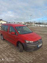 Volkswagen Caddy Maxi - Volkswagen Caddy Maxi: Kombi