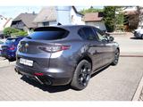 Alfa Romeo Stelvio VELOCE 2.2 DIESEL 16V 210 PS AT8 Q4 21 Z - Alfa Romeo Stelvio Tageszulassungen