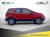 Ford EcoSport 1.0 EcoBoost Trend PDCv+h Alarm Notbrem - Ford EcoSport: Trend
