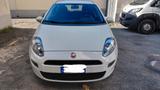 Fiat Punto 1.2 8V 5 porte Lounge - gebrauchte Fiat Punto aus dem Jahr 2015
