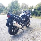 Suzuki Bandit GSF 1200 S - SUZUKI 2003 BANDIT 1200S