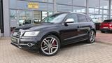 Audi SQ5 3.0 TDI quattro Automatik-Xenon-Standhzg-B&O - gebrauchte Audi SQ5 aus dem Jahr 2014