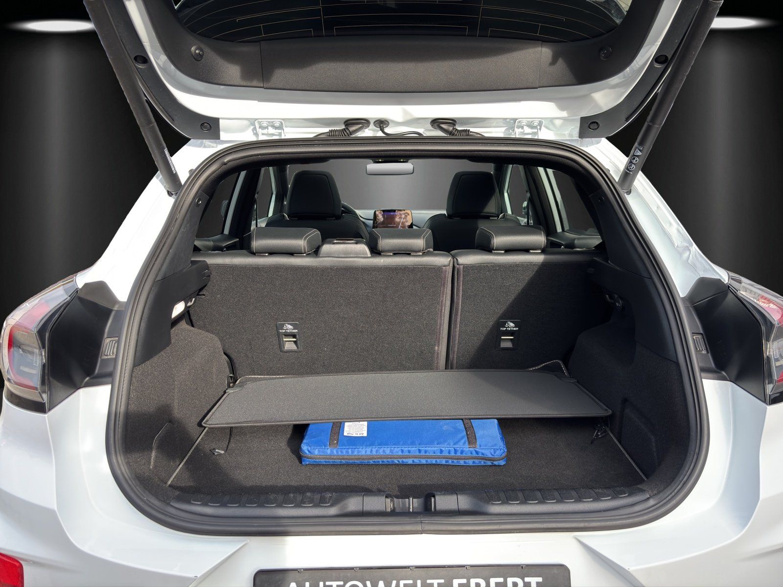 Fahrzeugabbildung Ford Puma ST 1.5 ST X LED/KAMERA/NAVI/SHZ/RECARO/