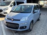 Fiat Panda Easy - graue Fiat Panda