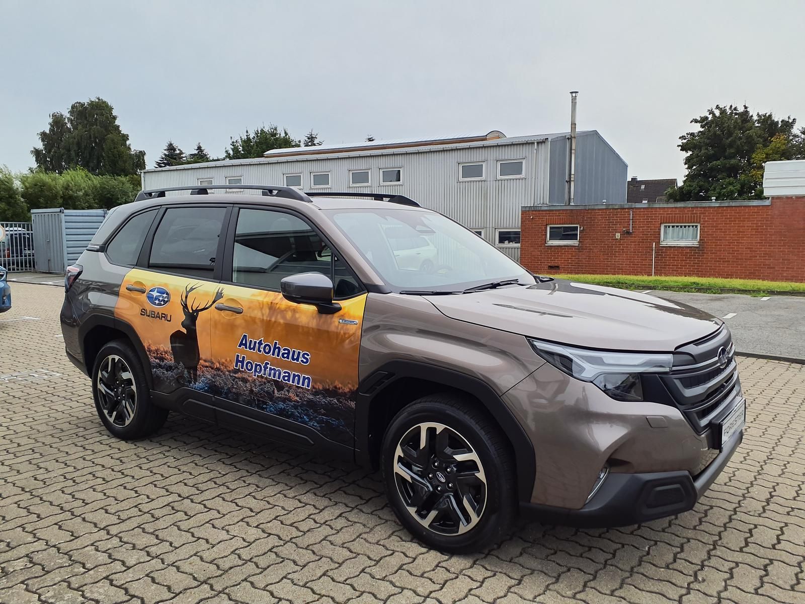 Subaru Forester - Bild 6