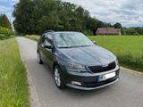 Skoda Fabia 1.2l TSI 66kW Joy Kombi - Skoda Fabia mit Benzin-Antrieb: Kombi, 1.6