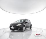 Fiat FIAT Punto 1.2 5 porte Dynamic - Fiat Punto: Dynamic