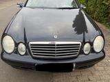 Mercedes-Benz CLK 230 KOMPRESSOR ELEGANCE Elegance - schwarze Mercedes-Benz CLK 230