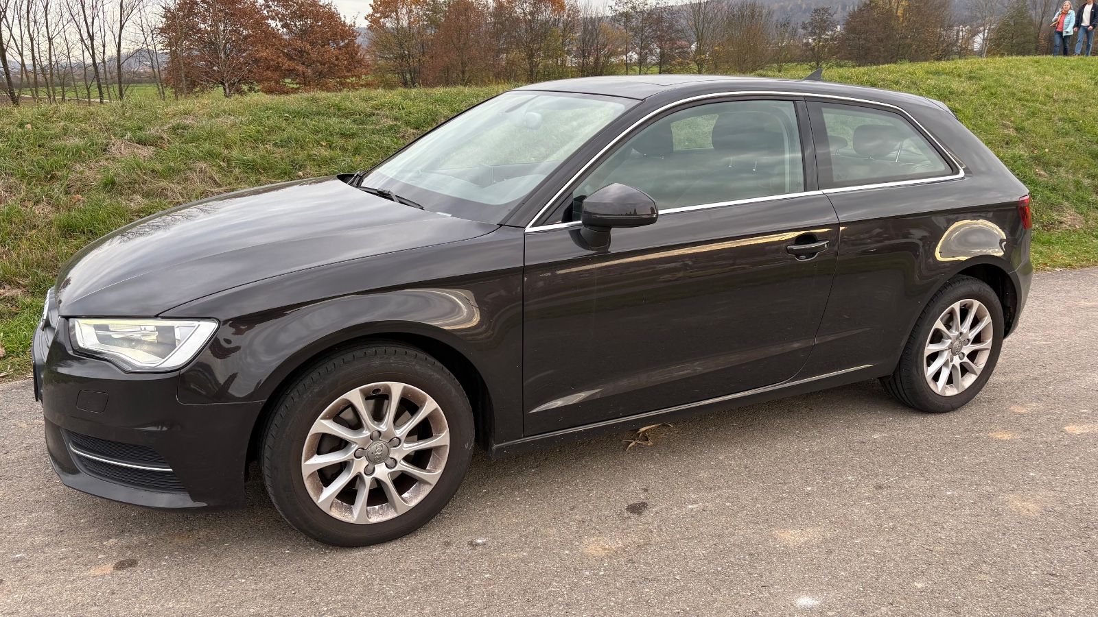 Audi Audi A3 Panorama Xenon Alu