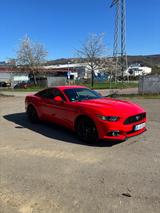 Ford Mustang 2.3 EcoBoost - - Ford Mustang: Rot