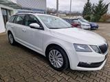 Skoda Octavia Combi 1.0 TSI Ambition Parktronic SmartL - Skoda Octavia Gebrauchtwagen in Stuttgart